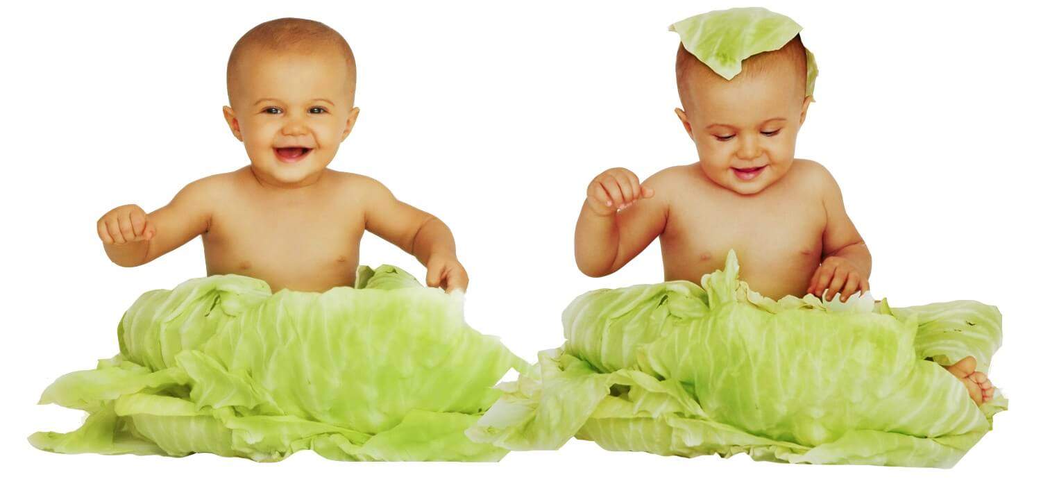 Wanted: Creative Inspiration [Babies Don’t Come From Babies]